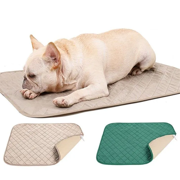 dog-toilet-training-pee-mat15509352748